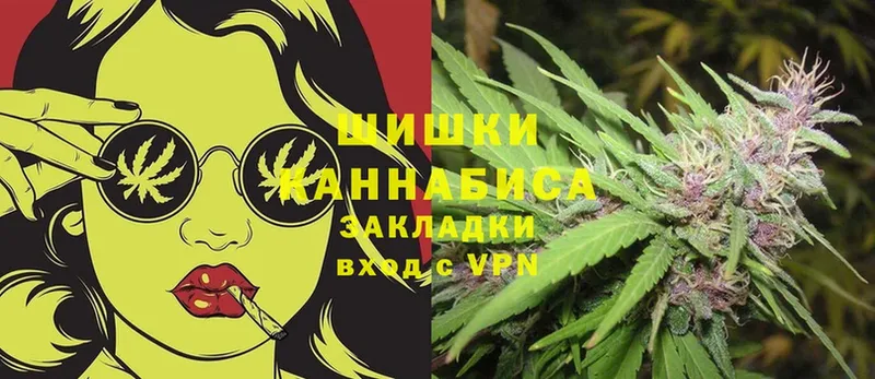 Шишки марихуана THC 21%  купить наркотик  Малая Вишера 